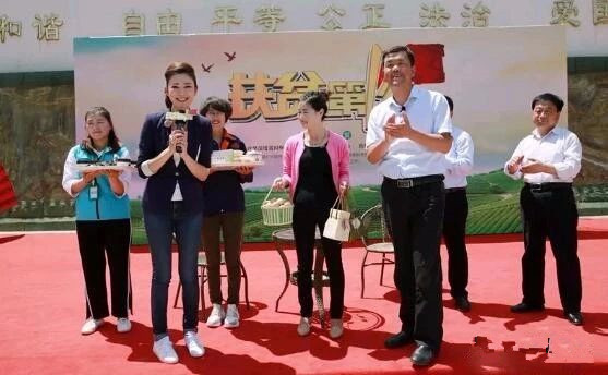 阳光成县 | 甘肃卫视播出 成县土蒿村的电商路